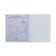 Subject Calligrata Embabula, 48 sheets in a geometry cell, with reference material, cover shaking cardboard, UV-lak, OFSET block