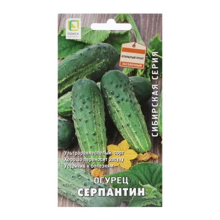 Seeds Cucumber "Serpentine" 15 pcs