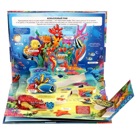 Encyclopedia Pop Up "Sea"-2