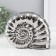 Souvenir ceramics "shell spiral" silver 20.5x6x16 cm