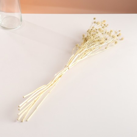 A set of dried flowers "Eringium", ban 5 pcs, length 50 (+/- 6 cm), bleached-3