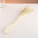 A set of dried flowers "Eringium", ban 5 pcs, length 50 (+/- 6 cm), bleached