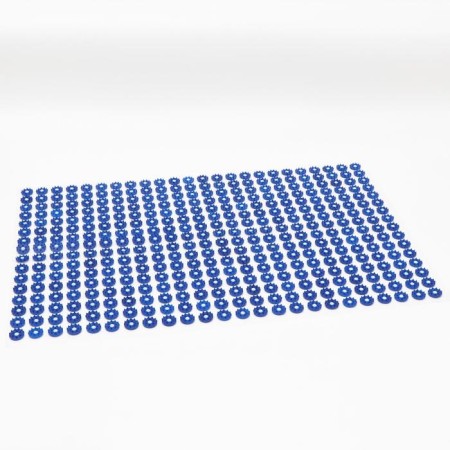 Kuznetsova applicator, 384 spines, film, 50 x 75 cm.