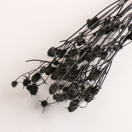 A set of dried flowers "Eringium", ban 5 pcs, length 50 (+/- 6 cm), black-2