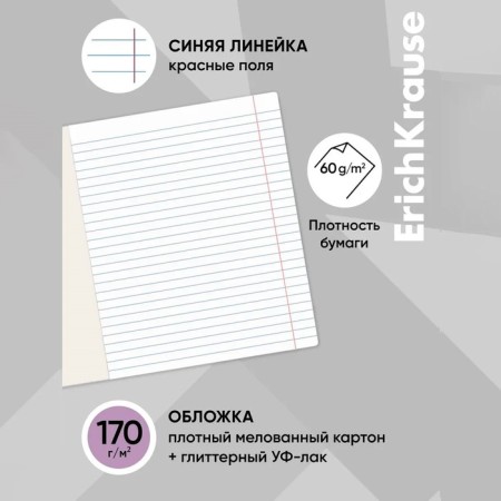 Notebook of 12 sheets in the Erichkrause Space Anime line, covered Cardboard, OFSET block, 5V, mix-2