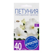 Flowers of Petunia 