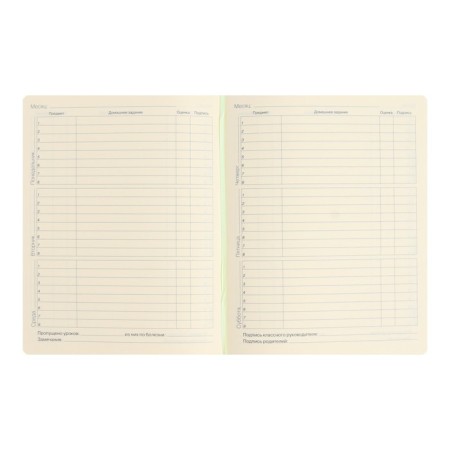 School diary for grades 1-11 Schoolmix. Koala, hard cover, artificial leather, with foam, liesse, 48 sheets, tinted block 70g/m2-6
