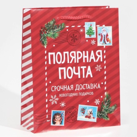 Laminated vertical "Polar Mail", MS 18 x 23 x 8 cm, New Year