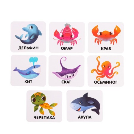 Developing set of "sea inhabitants", tasks on cards, marker-4