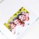 Photo album for 200 photos 10x15 cm, animals