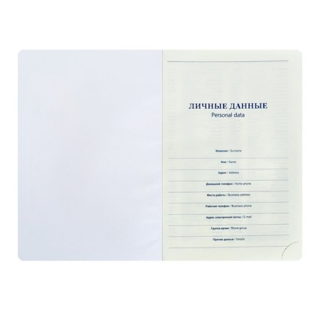Delivery of Leduced A5, 136 sheets in a ruler, leatherette "Nebraska", silver cut, black-3