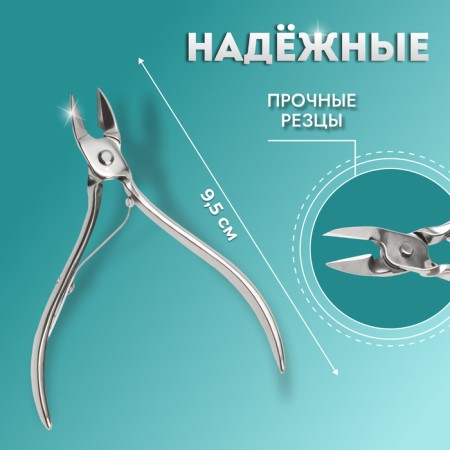 Pigitan nippers, straight blade, 9.5 cm, blade length - 10 mm, silver color-1