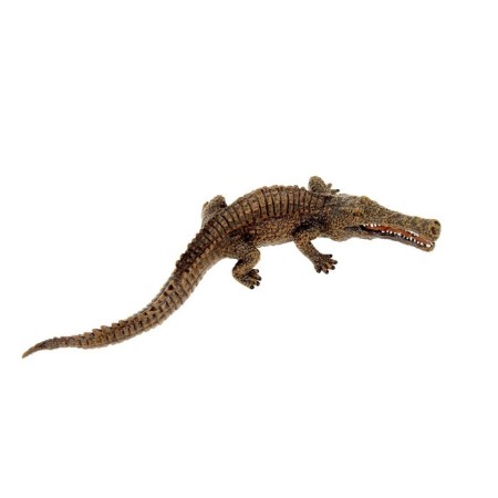 Figure "Sarcosta"
