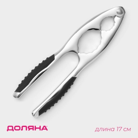 Orekhol shapes shapes, stainless steel