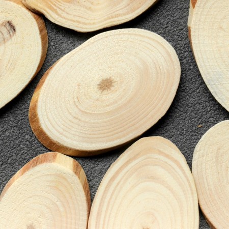 Saw the tree "pine", oval, d = 3-4 cm, h = 3.5 mm-2