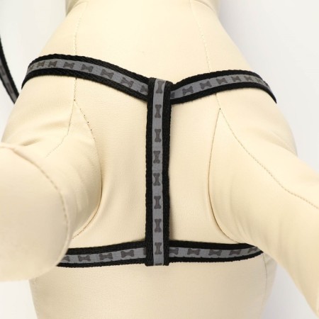 The reflective “bones” set, a collar of 120 x 1 cm, Osh 22-34 cm, fire 22-34 cm, black-5