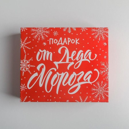 Packaging for confectionery "Gift from Santa Claus", 20 x 17 x 6 cm, New Year-3