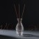 Diffusor for Elive Essential oils 150 ml Transparent 5.5x5x11.5 cm