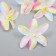 Budon on the leg for decoration "Lily Garden" multi -colored 6.5x6.5 cm