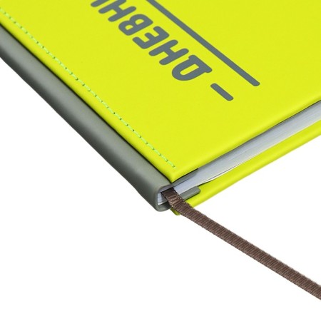 The universal diary for grades 1-11 is an excellent student, a solid cover made of artificial leather, silkography, lies, 48 ​​sheets, light green-2