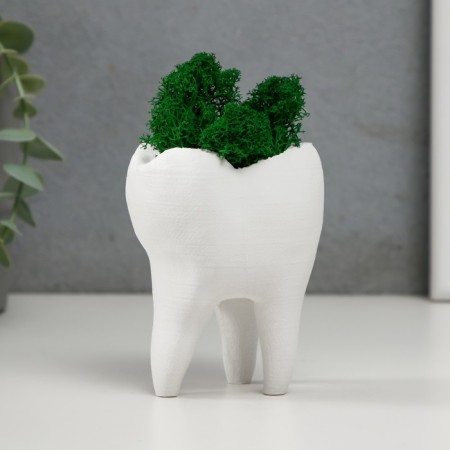 Concrete Kashpo "tooth" with moss white 7.5x6.5x9.5 cm (moss green stabilized)-3