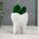 Concrete Kashpo "tooth" with moss white 7.5x6.5x9.5 cm (moss green stabilized)