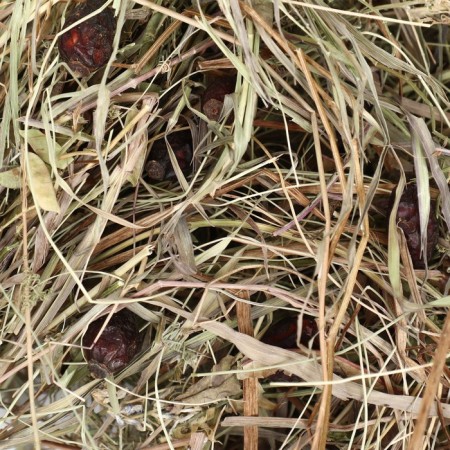 Lugovoi hay with rosehip fruits "Piggon" for rodents, 20 l, 500 g-3