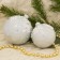 Set "Snow Branch" (5pcs set)