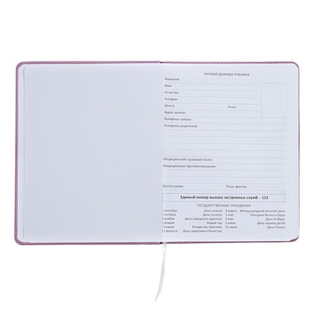 Universal diary for grade 1-11 Mentality, hard cover, artificial leather, foam rubber, lies, 80 g/m2-3