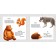My first pictures and poems. Animals