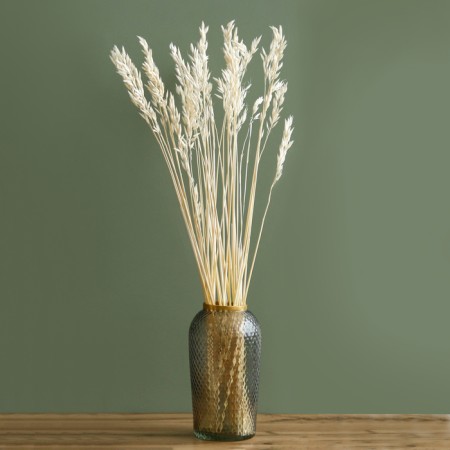 Sukhotzet "Sowing", White, 50 g in packaging