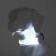Collar with backlight double strip size m, Osh 40-48 x 2.5 cm, 3 glow modes White