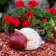 Garden Figure "Dwarf Sonya" Red, 38x28x21cm