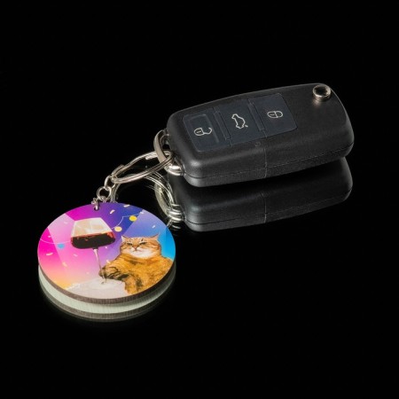 A car key keychain, cat