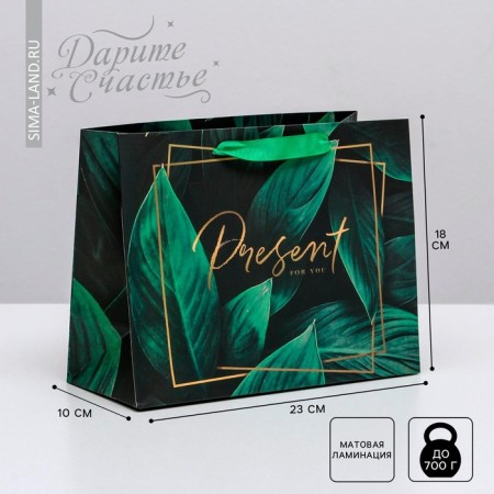Gift Laminated horizontal package, packaging, Present for You, MS 23 x 18 x 10 cm