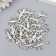 Decor for creativity Metal "Lizard" silver 2.3x1.2 cm