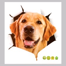 Sticker 3D Interior dog 30*27cm