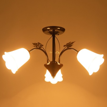 Cauces "Bouquet" 3x15W E27 Model: Br 00228 Wenge/White-2