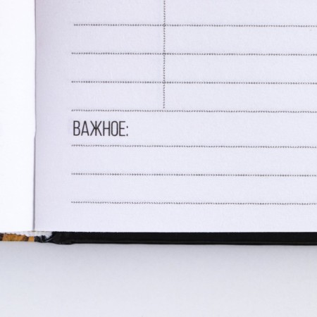 Diary in a solid cover A5, 160 sheets "Forward to its goals"-5