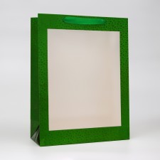 Packet Holography with a window, 
