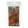 Seed of indoor flowers Koleus "Bluma Rainbow", set 5 pcs