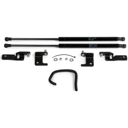 Copot shock absorbers "Auto-assist" Lada Vesta 2018-n., 2 pcs., Ulaves021