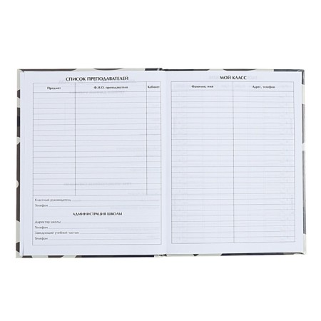 Universal diary for grades 1-11, "plane", solid cover 7BC, glossy lamination, 40 sheets-5