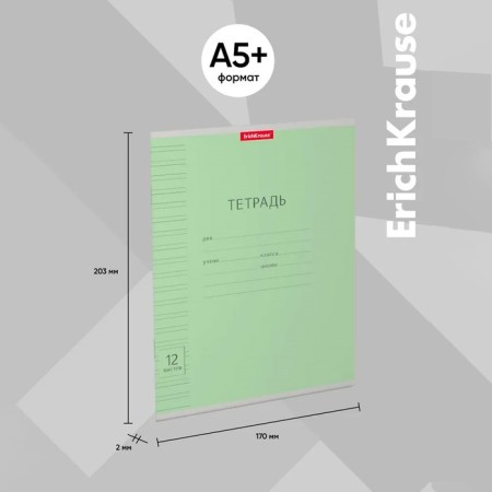 Notebook 12 sheets in a narrow ruler, Erichkrause Visio "Classic", cover coated a cardboard, an offset block, green-12