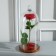 Glass dome-redflower with a ball on the stand "Rodrik", 34x15 cm, glass, brown