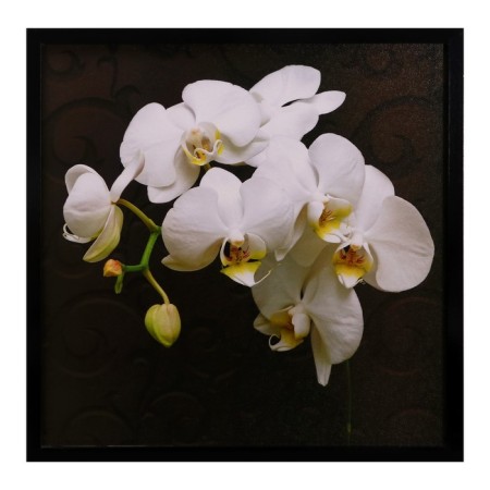 Picture "White Orchid" 75*75 cm frame mix