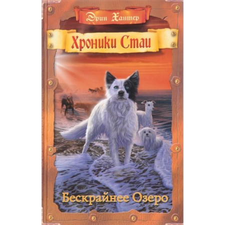 Chronicle of the pack. The endless lake. Hunter E.