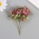 Sukhotzet "hydrangea" green-red h = 6-6.5 cm