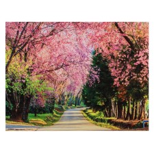 Picture on the canvas 