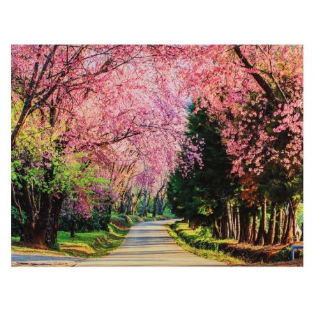 Picture on the canvas "Alley Sakura" 30x40 cm